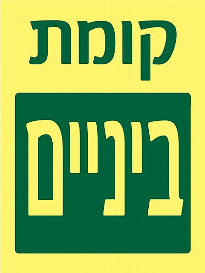 ���� ������
