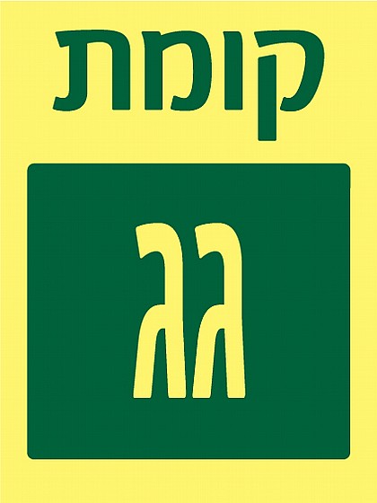 ���� ��
