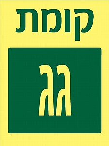 ���� ��