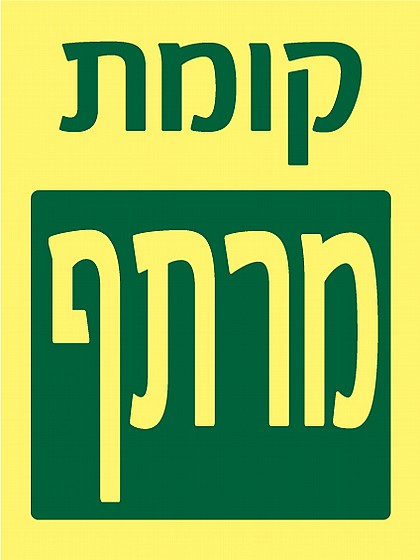 ���� ����