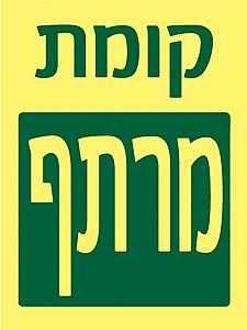 ���� ����