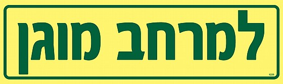 ����� ����