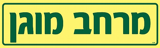 ���� ����