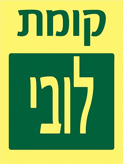 ���� ����