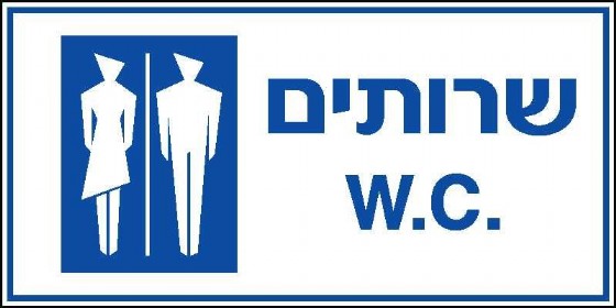 שרותים 30 × 15 cm