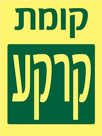 ���� ����