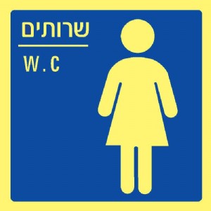 ����� ����