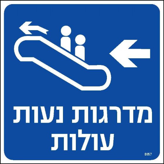 ������ ���� ����� �����