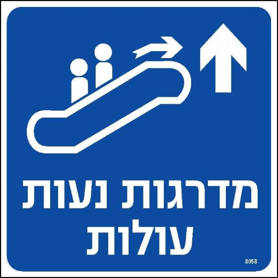 ������ ���� ����� ���