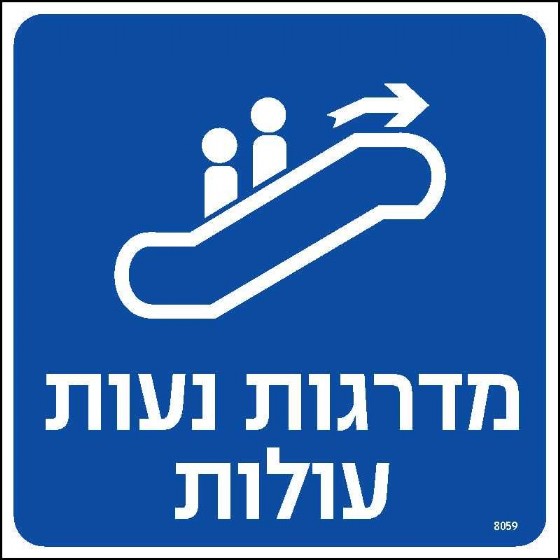 ������ ���� �����