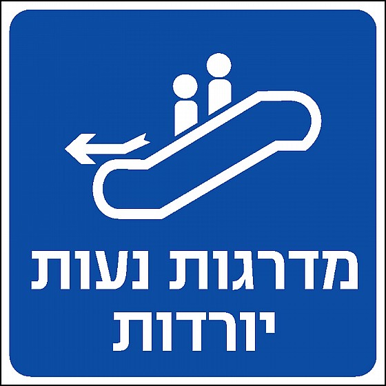 ������ ���� ������