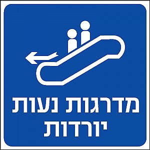 ������ ���� ������