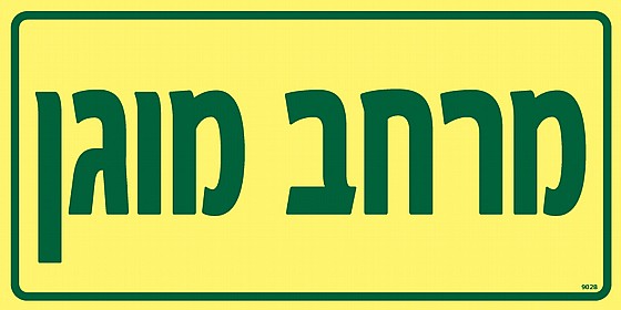 ���� ����