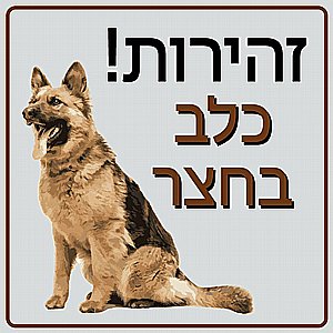 שלט פי וי סי זהירות כלב בחצר30X30 ס"מ שלט פי וי סי זהירות כלב בחצר30X30 ס"מ